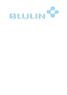 Blulin: рассрочка от 6 мес.