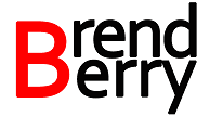 BrendBerry: рассрочка от 4 мес.